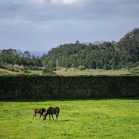 Appartamento Azorina Ponta Delgada