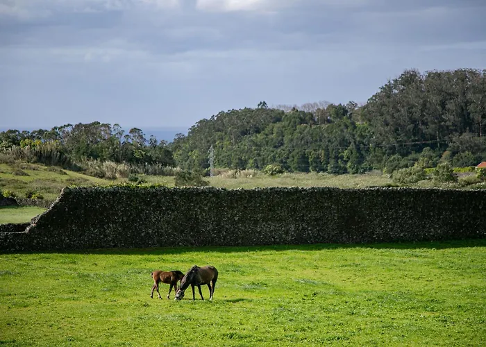 Appartamento Azorina Ponta Delgada